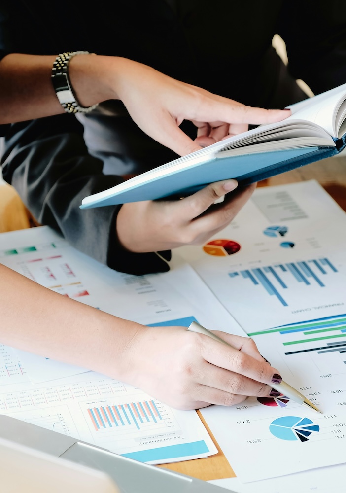 fractional cfo services - 13 consulting